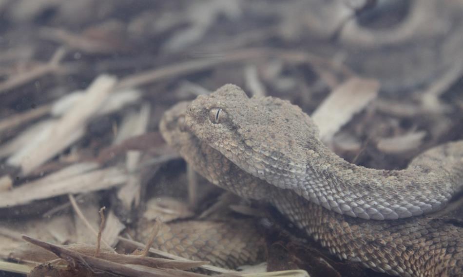 2014-10-21-941CITES 6.jpg